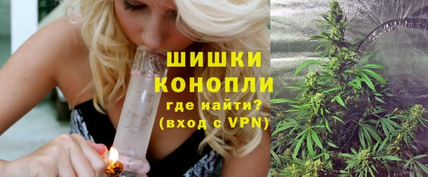 прущие грибы Зерноград