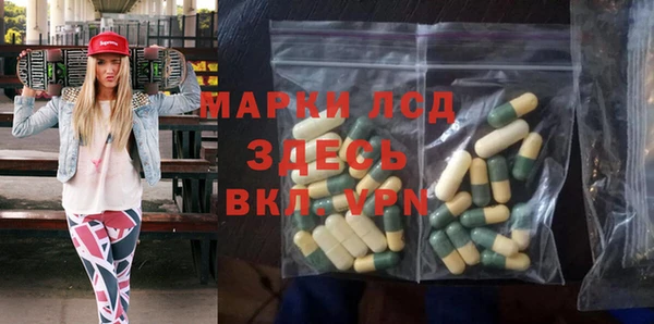 прущие грибы Зерноград