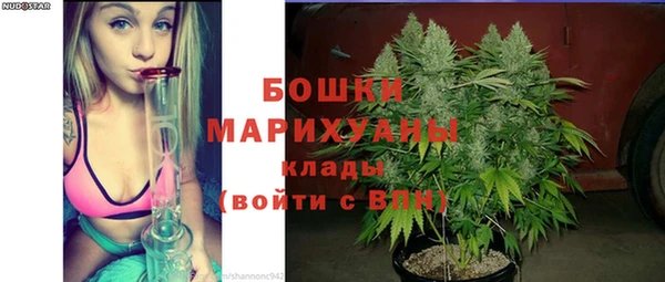 прущие грибы Зерноград